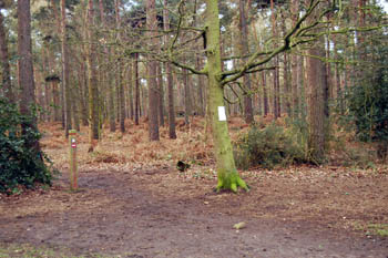 in Rowney Warren March 2008